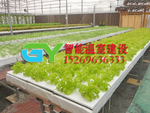 無土栽培設(shè)施