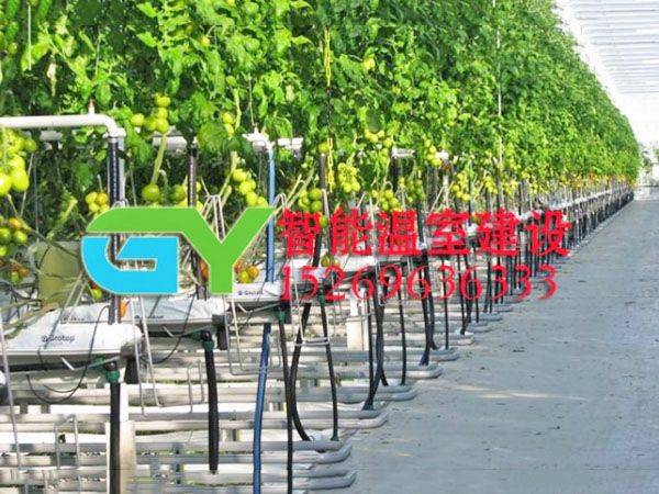 無(wú)土栽培設(shè)施