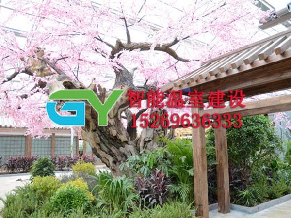 生態(tài)餐廳溫室