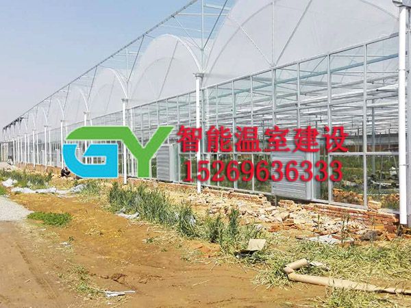 薄膜連棟溫室