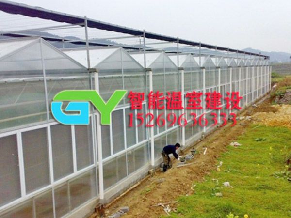 陽光板智能溫室