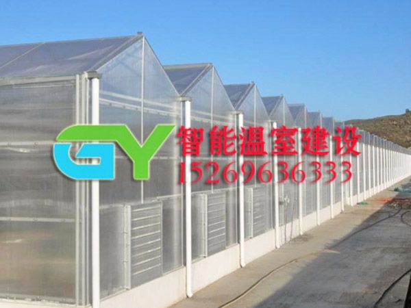 陽光板智能溫室