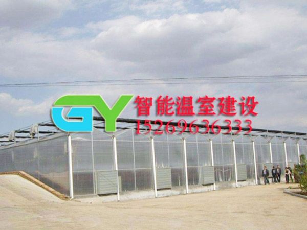 陽光板智能溫室