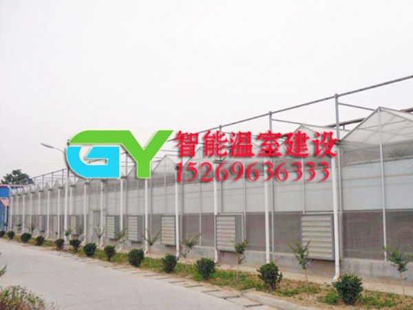 陽光板智能溫室