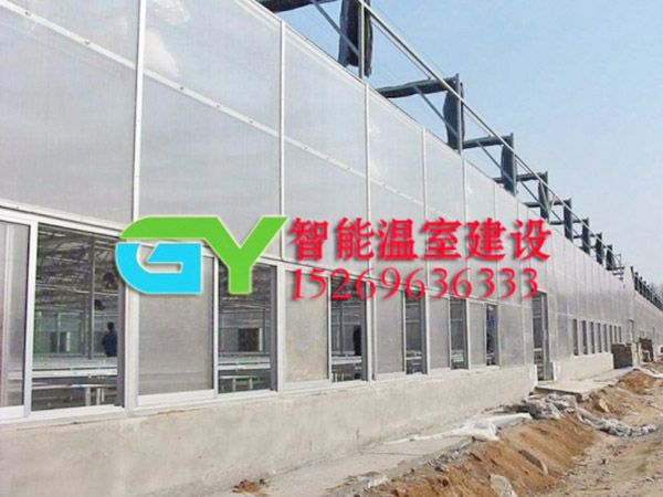 陽光板智能溫室