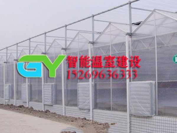 陽光板智能溫室