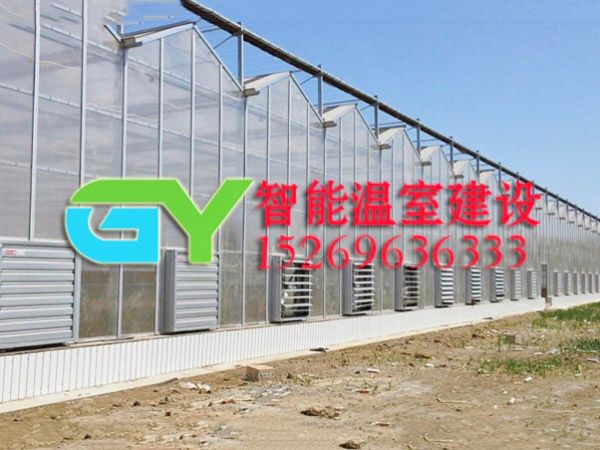 陽(yáng)光板智能溫室