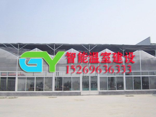 陽光板智能溫室