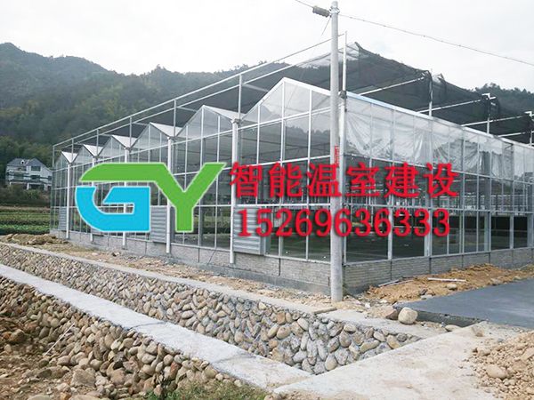 玻璃智能溫室