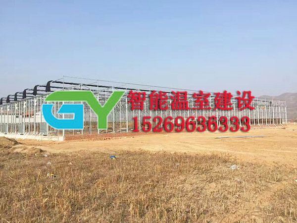 玻璃智能溫室