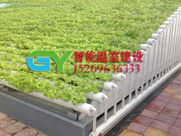 無(wú)土栽培設(shè)施