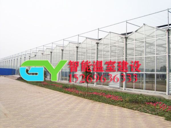 玻璃智能溫室