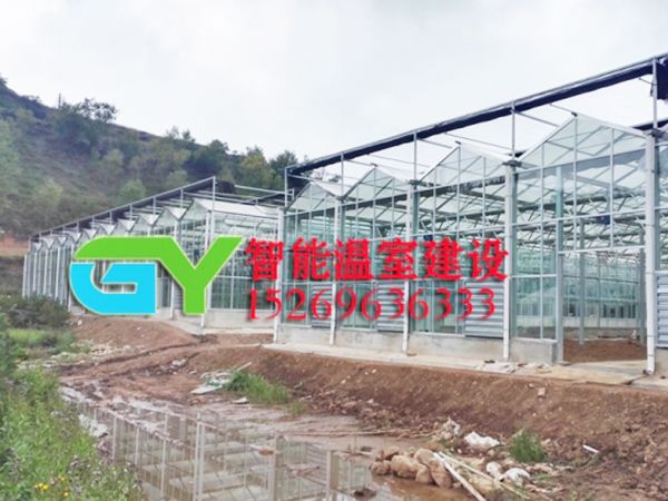 玻璃智能溫室