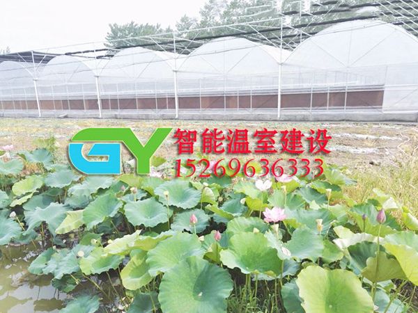 玻璃智能溫室