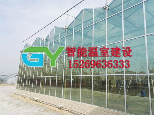 玻璃智能溫室