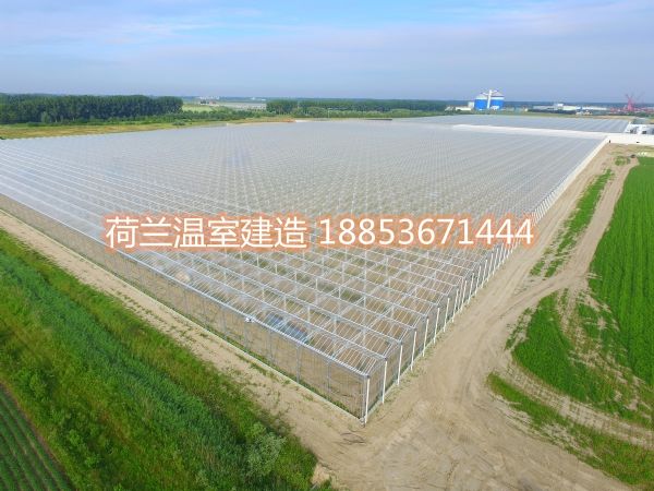 荷蘭智能玻璃溫室