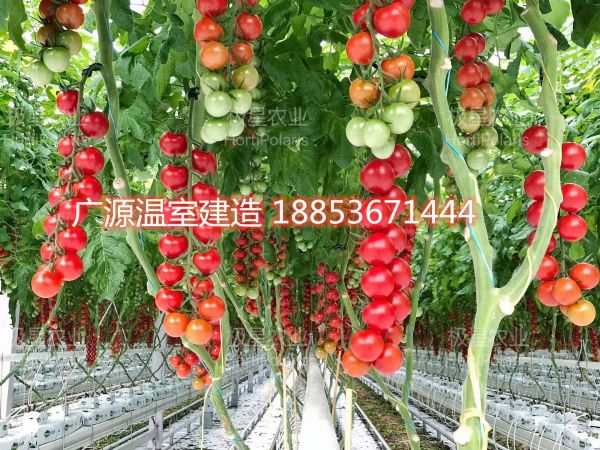 微信圖片_20190102173104.jpg
