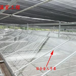 <img src=upfile/images/2022/08/20/small3_16609594164672147.jpg height=150>